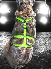 Hundegeschirr Rondell Hundegeschirre, XS-XL