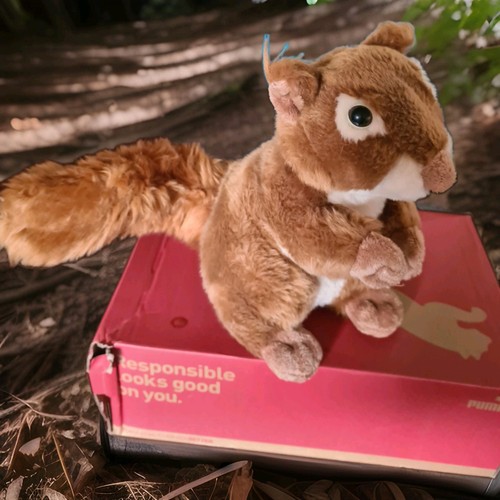 Eichhörnchen plüschtier - eichhörnchen,,