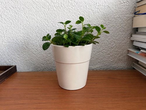 Moderner blumentopf cm - 10,