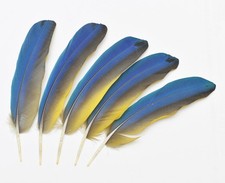 5 Stk .22-21 cm rechts