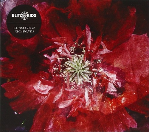 Blitz kids vagrants - kids, &