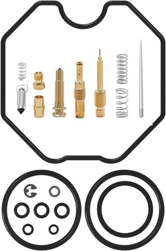 Carburetor rebuild kit - carburetor,