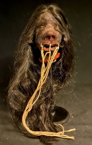 Shrunken head schrumpfkopf - head,