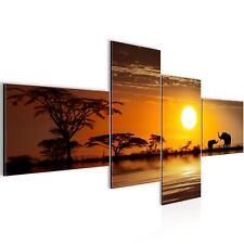 Wandbilder Afrika Elefant