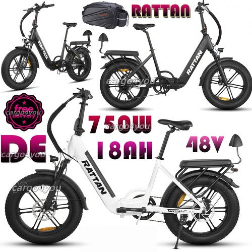 New rattan 750w 48v - rattan,
