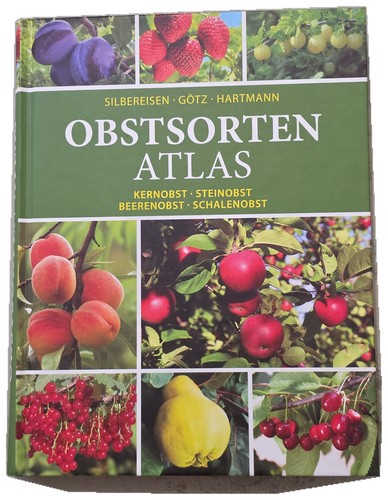 Obstsorten atlas silbereisen - atlas,