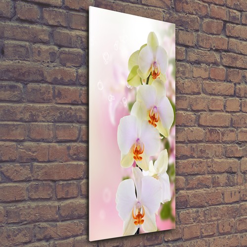 Wandbild kunst druck - kunst-druck, auf