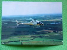 ESSEX POLICE EICHHÖRNCHEN