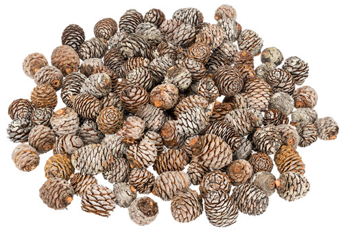 Nadeco muirii zapfen - 0,5kg, |