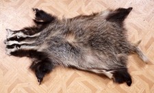 Schönes Dachsfell Badger Fur