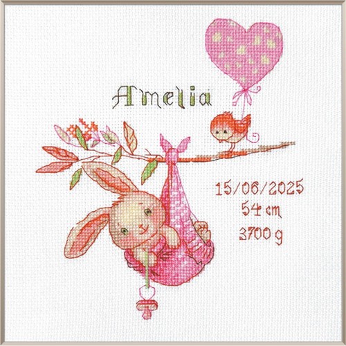 Aine kreuzstich stickpackung - aine,