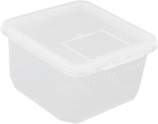 Mini Terrarium Reptilien