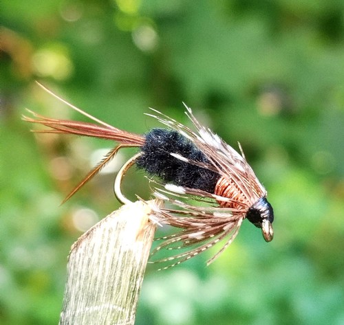 Gilchrist fliegen x - gilchrist,