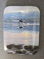 Bradford Exchange Das Licht