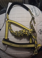 Eskadron Oliv/Lemon Halfter &