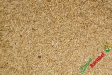 Rasensamen 5 kg - (6,78€/kg),