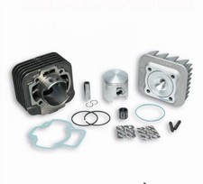 Malossi 316926 47mm Cast Iron