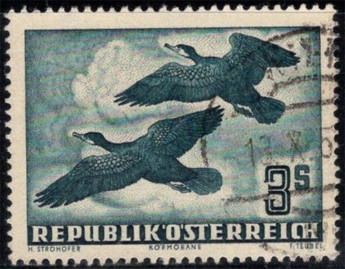 österreich 1953 985 - Österreich,