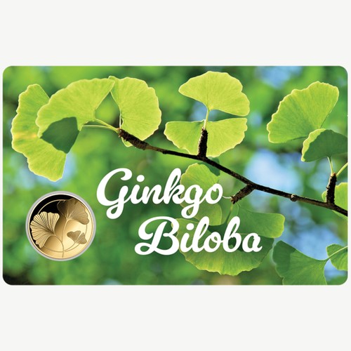 Ginkgo biloba 999 fine - ,
