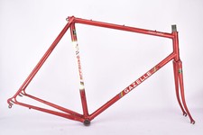 Gazelle champion mondial - gazelle,