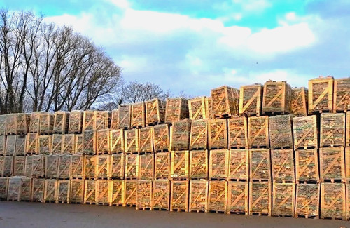 Brennholz in boxen - rm,