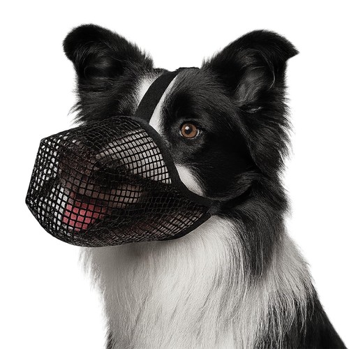 Hund maulkorb atmungsaktiv - hund,