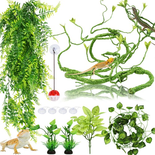 Hängepflanze terrarium - hängepflanze,