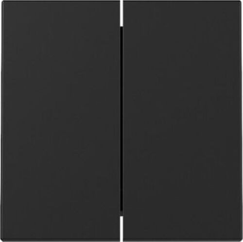 Gira 3295005 wippe fach - 3295005, 2-fach