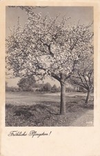 AK Fröhliche Pingsten 1940 Feldpost Leutnant H. Saupe Luftgaupostamt L02878