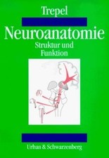 Neuroanatomie. Struktur und