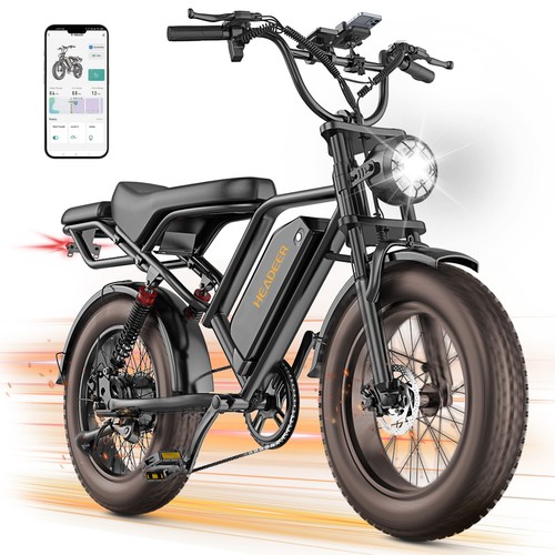 Fat tire bike - fat, 48v20ah