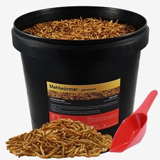 10 Liter Mehlwürmer Koifutter Winter Vogelfutter Reptilien im Eimer + Schaufel