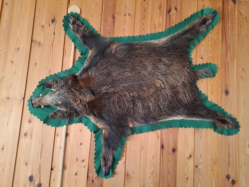 Wildschweinfell sauschwarte - wildschweinfell,