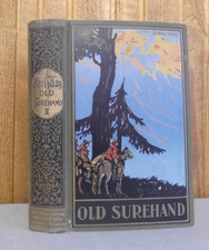 Karl May: Old Surehand II