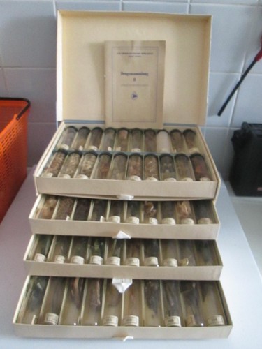 Veb pharmazeutisches werk - pharmazeutisches,