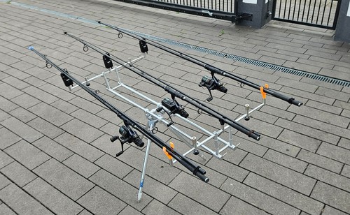 Karpfenruten daiwa black - karpfenruten,