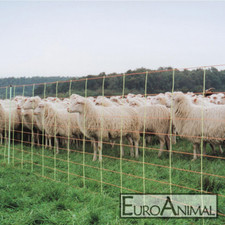 50m EURONETZ Schafnetz KOMBI Vertikalstreben Schafzaun Elektrozaun Schafe Pferch