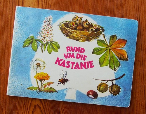 Rund die kastanie - um,