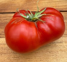 Nonna Antonia alte Tomatensorte aus Italien supersüße und saftige Fleischtomate