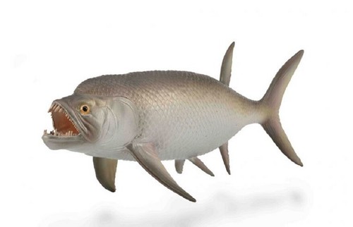 Collecta 88928 xiphactinus - xiphactinus, 16