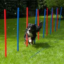 Dog Agility Slalom