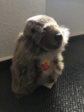 Steiff Burri Murmeltier