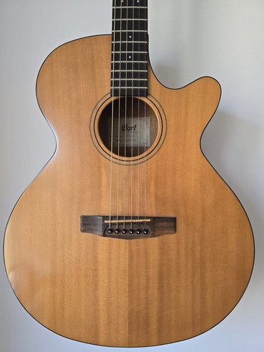 Cort sfx1f solid spruce - cort, ns