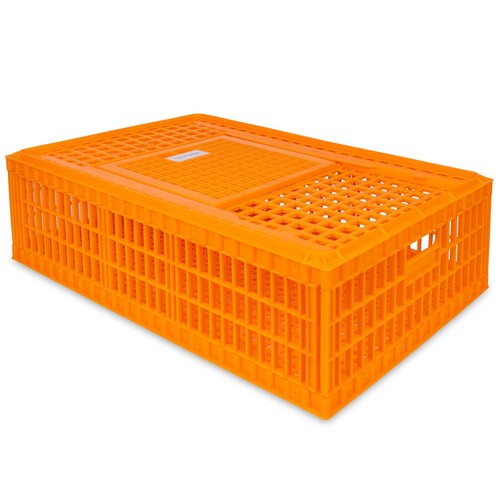 Geflügel transportbox mit - geflügel,