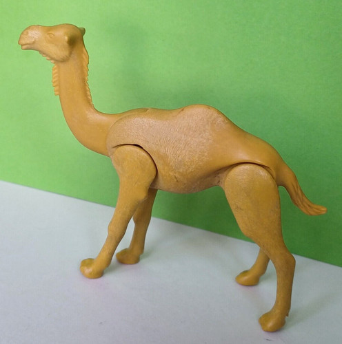 Playmobil sammlung kamel aus - sammlung,