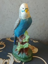 Wellensittich Figur Groß, 25cm Vogel bird budgie