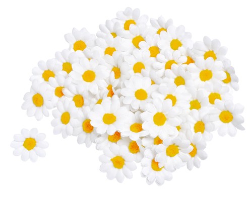 Vbs margeritenblüten - margeritenblüten, 50