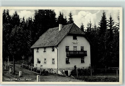 13141660 8372 ludwigsthal - 13141660,