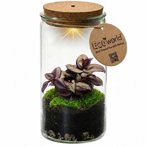 Mini pflanzen terrarium - terrarium, Ø11