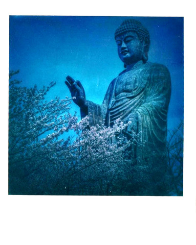 Araki nobuyoshi original - nobuyoshi,